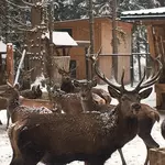 Eventgruppe Gruppenbild
